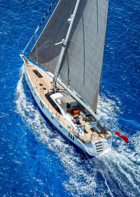 Enjoy dolphin whale watching!